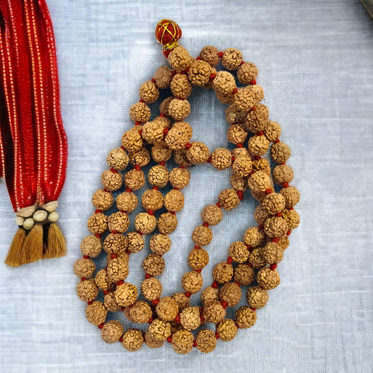 5 मुखी रुद्राक्ष की माला (Regular Premium Bead)