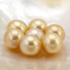 रॉयल मोती (South Sea Pearl)