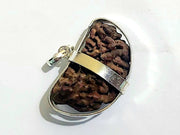 1 मुखी रुद्राक्ष चांदी पेंडल में (1 Mukhi Rudraksh Silver Pendant)