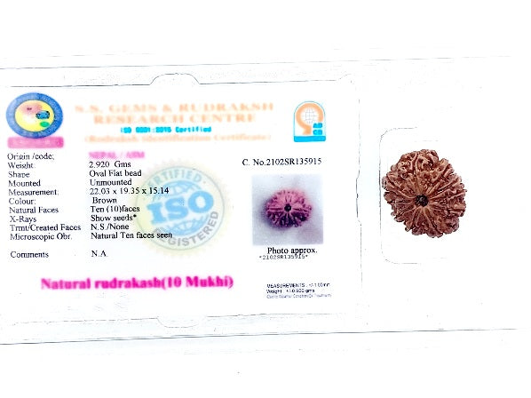 10 मुखी रुद्राक्ष (10 Mukhi Rudraksh)