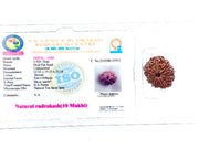 10 मुखी रुद्राक्ष (10 Mukhi Rudraksh)
