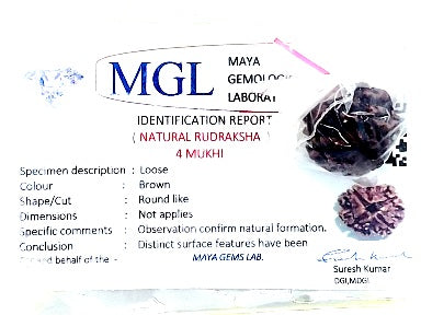 4 मुखी रुद्राक्ष (4 Mukhi Rudraksh)
