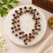 5 मुखी रुद्राक्ष माला व्हाइट मेटल कैप में  (5 Mukhi Rudraksh Mala in White Metal Cap) (8 mm)