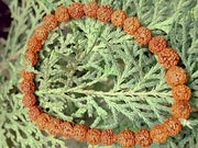 5 मुखी रुद्राक्ष ब्रेसलेट (5 Mukhi Rudraksh Bracelet)