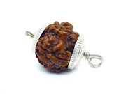 5 मुखी रुद्राक्ष (5 Mukhi Rudraksh) चांदी पेंडल