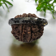 शनि साढ़ेसाती कॉम्बो (Shani Sadhesati Combo)