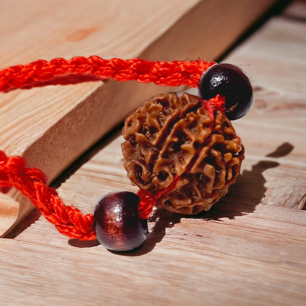 7 मुखी रुद्राक्ष ब्रेसलेट (7 Mukhi Rudraksh Bracelet)