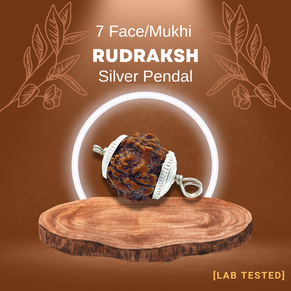 7 मुखी रुद्राक्ष (7 Mukhi Rudraksh) चांदी पेंडल