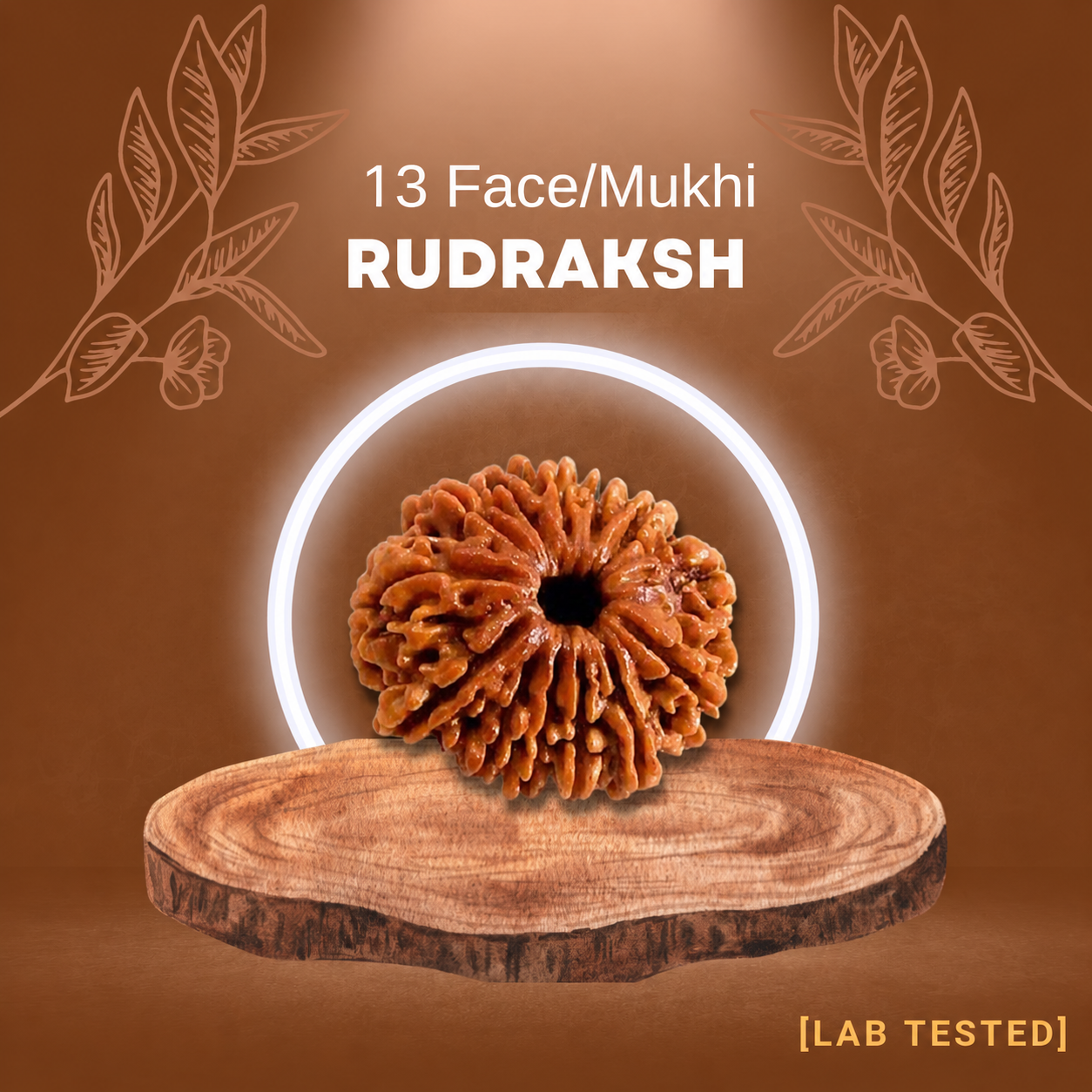 13 मुखी रुद्राक्ष (13 Mukhi Rudraksh)