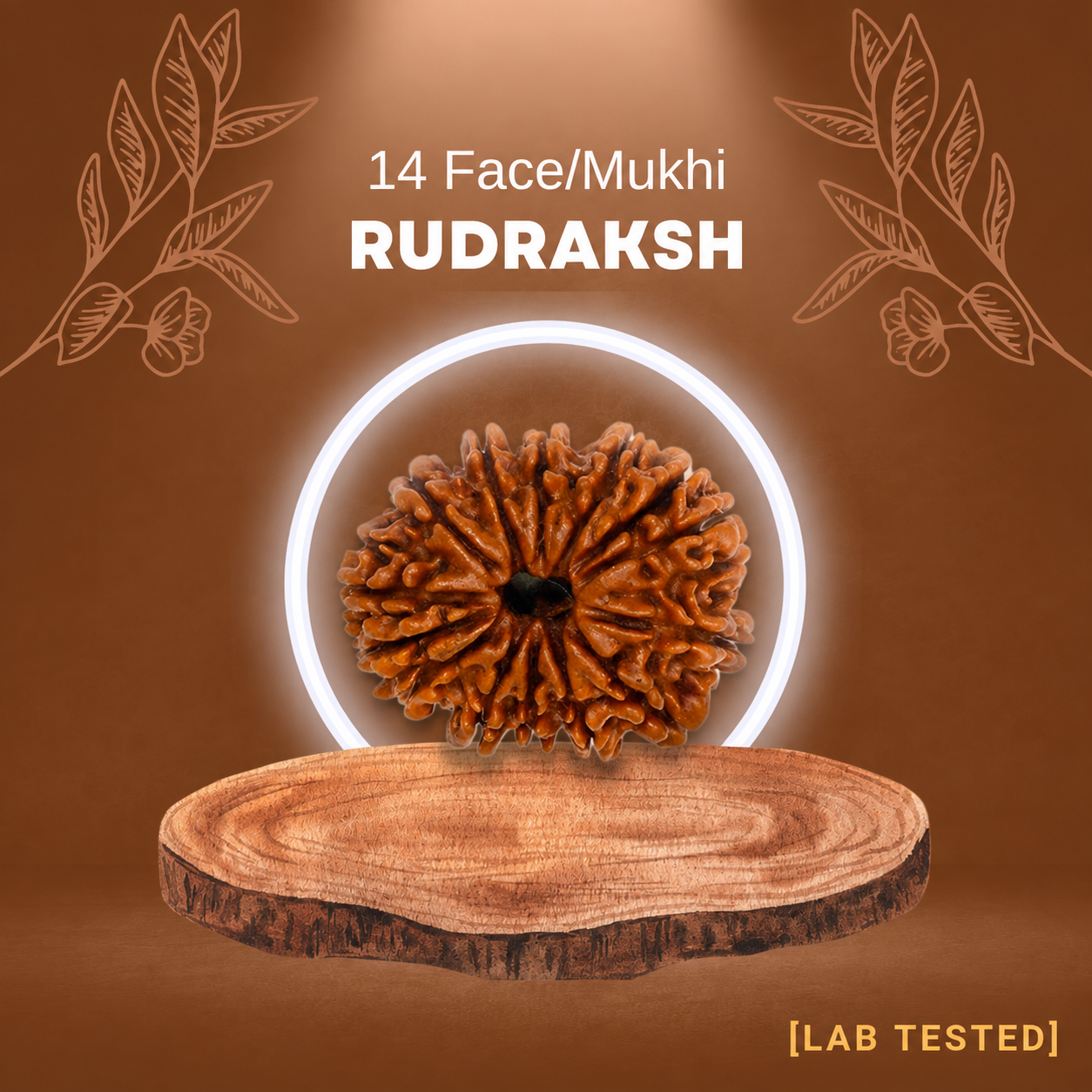 14 मुखी रुद्राक्ष (14 Mukhi Rudraksh)