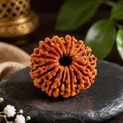 13 मुखी रुद्राक्ष (13 Mukhi Rudraksh)