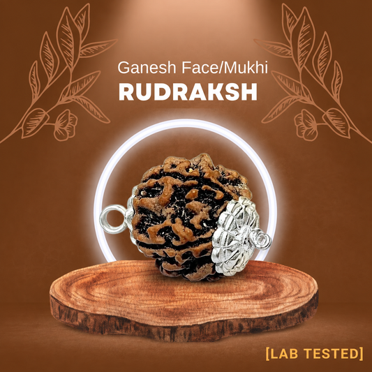 गणेश रुद्राक्ष (Ganesh Rudraksh) चांदी पैंडल में
