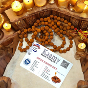 5 मुखी रुद्राक्ष माला (5 Mukhi Rudraksh Mala)