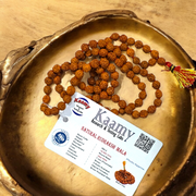 5 मुखी रुद्राक्ष माला (5 Mukhi Rudraksh Mala)