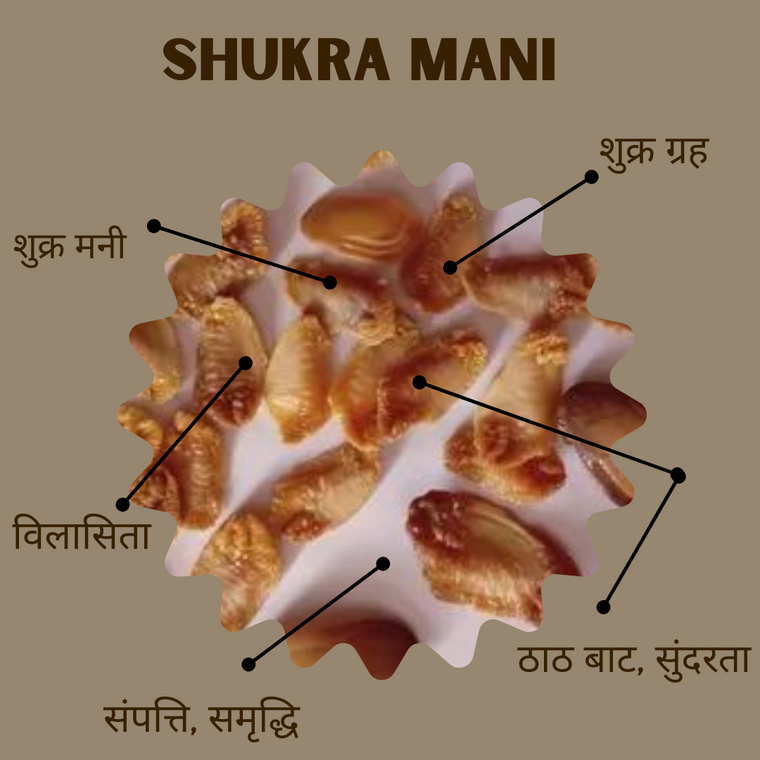 शुक्र मणि (Shukra Mani)
