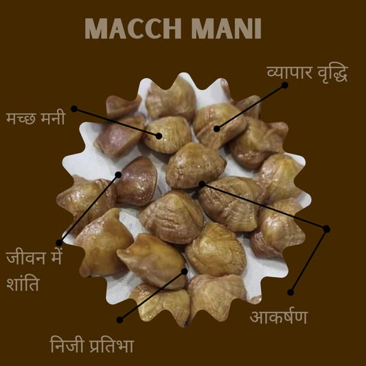 मच्छ मणि