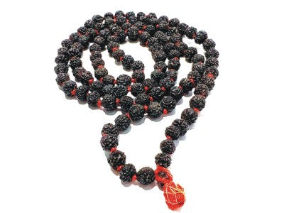 5 मुखी रुद्राक्ष माला (काला दाना) (5 Mukhi Rudraksh Mala Black Bead)