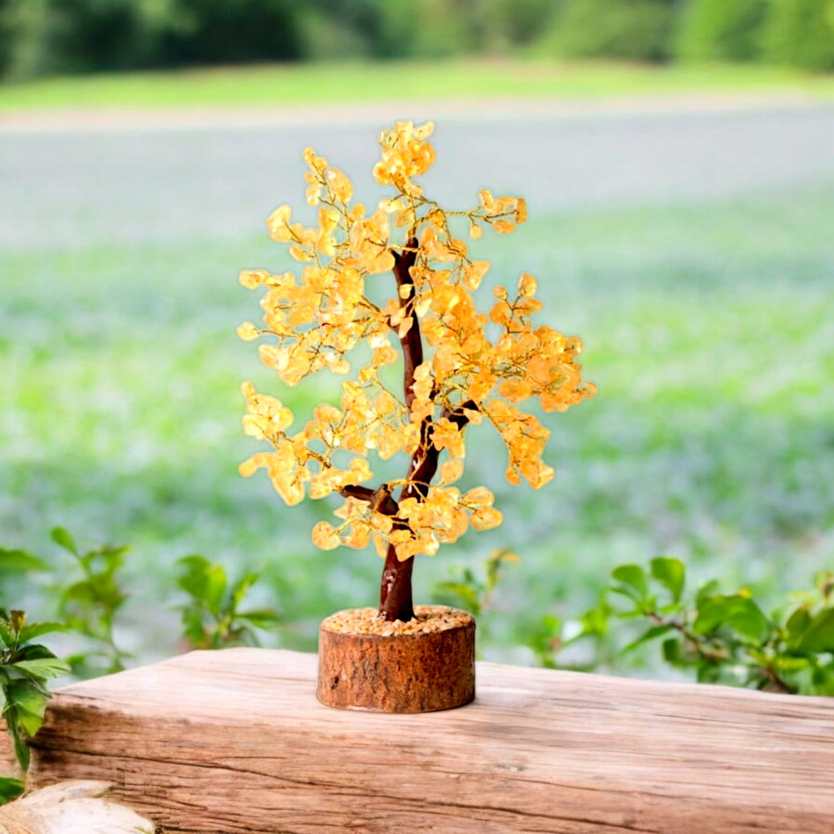 सिट्रीन ट्री (Citrine Tree)