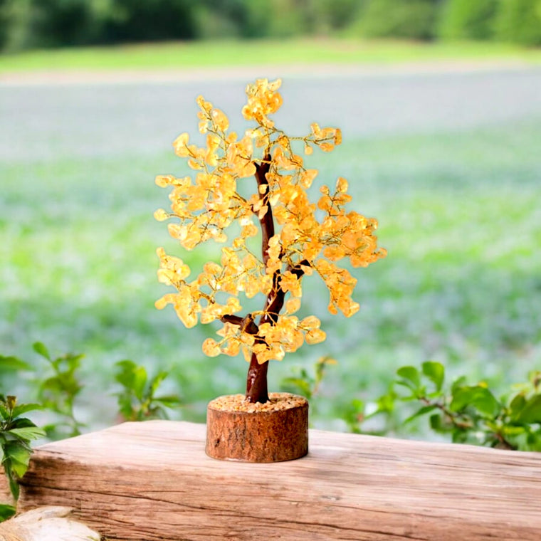सिट्रीन ट्री (Citrine Tree)