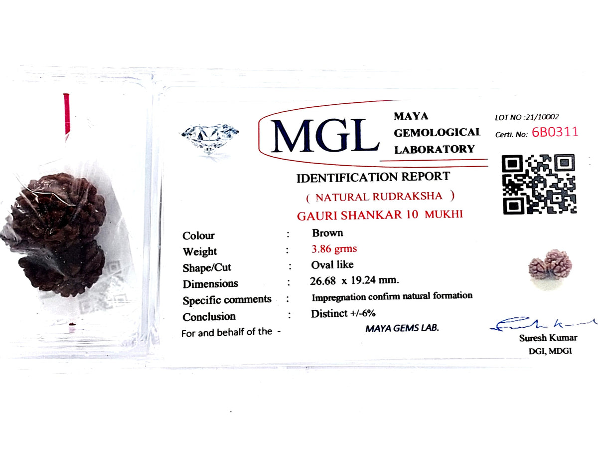 गौरी शंकर रुद्राक्ष (Gauri Shankar Rudraksh)