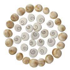 गोमती चक्र 108 नग (Gomati Chakra 108 Piece)