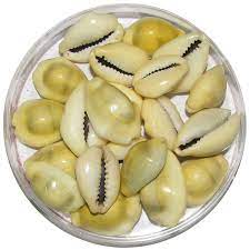 कौड़ी 11 नग (Kaudi 11 Piece)