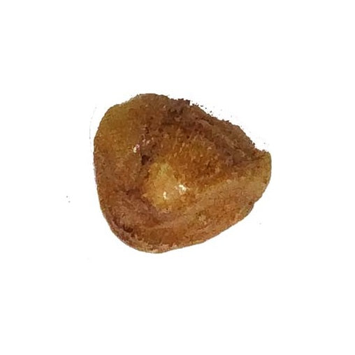 मच्छ मणि (Machch Mani)