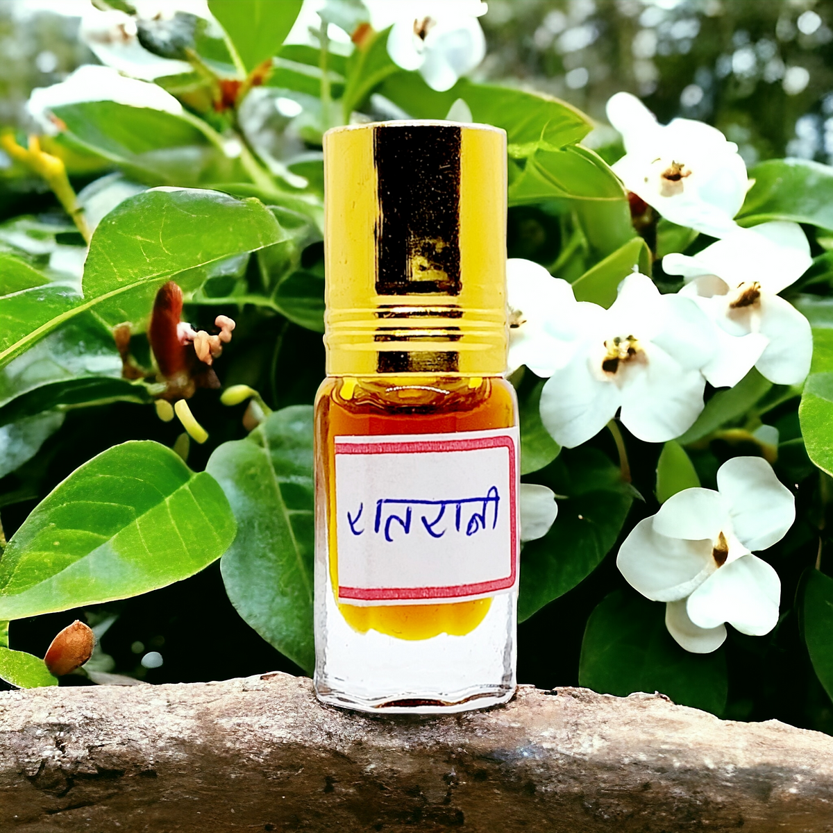रातरानी इत्र (Ratrani Attar) (3 ग्राम)
