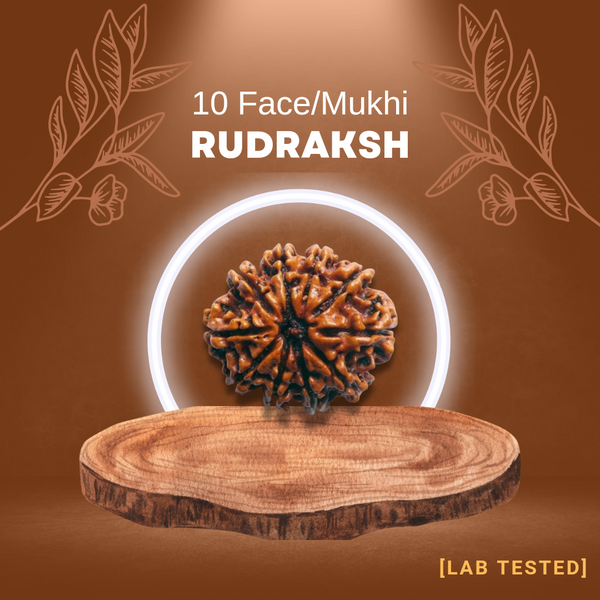 10 मुखी रुद्राक्ष (10 Mukhi Rudraksh)