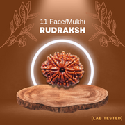 11 मुखी रुद्राक्ष (11 Mukhi Rudraksh)