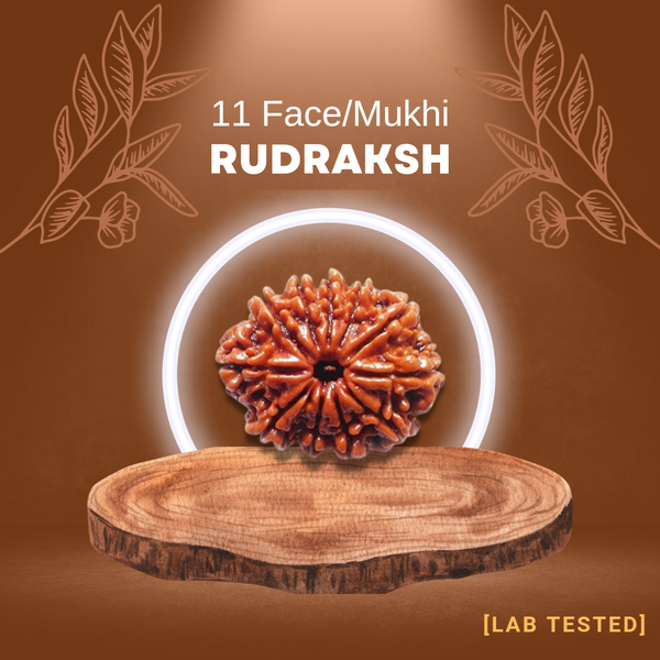 11 मुखी रुद्राक्ष (11 Mukhi Rudraksh)