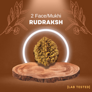 2 मुखी रुद्राक्ष (2 Mukhi Rudraksh)