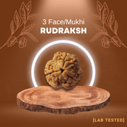 3 मुखी रुद्राक्ष (3 Mukhi Rudraksh)