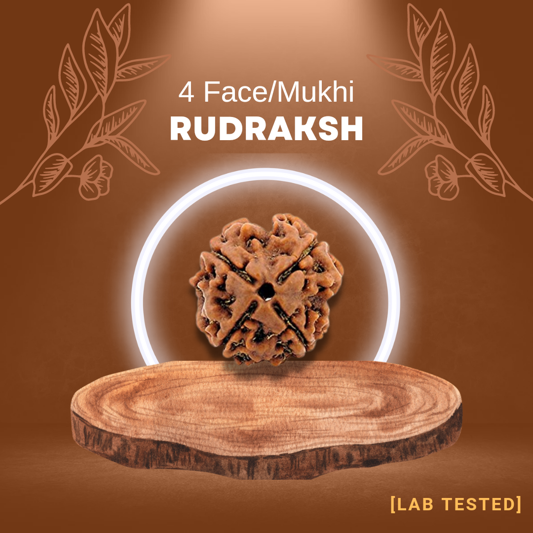 4 मुखी रुद्राक्ष (4 Mukhi Rudraksh)