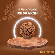 4 मुखी रुद्राक्ष (4 Mukhi Rudraksh)