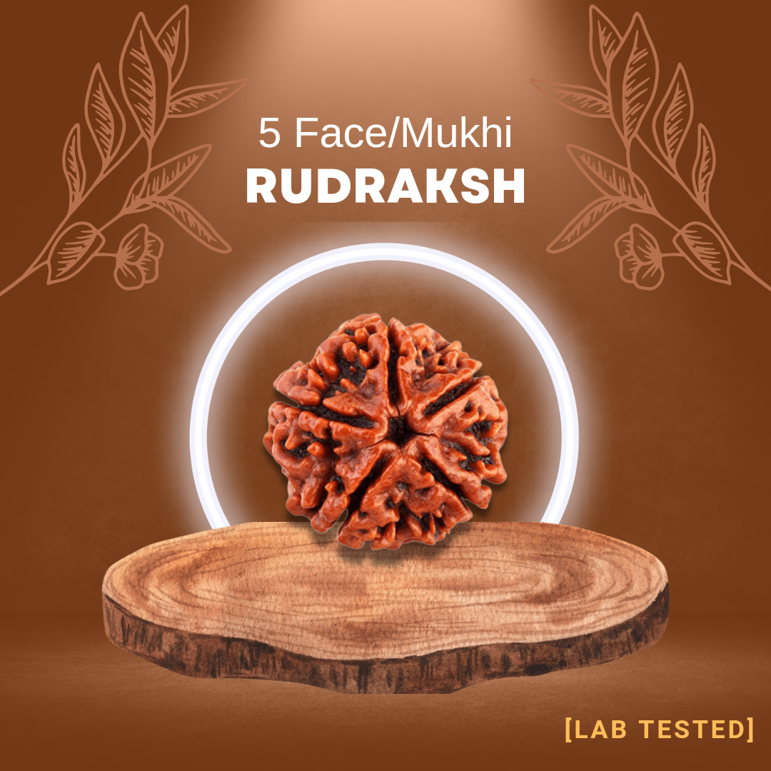 5 मुखी रुद्राक्ष (5 Mukhi Rudraksh)