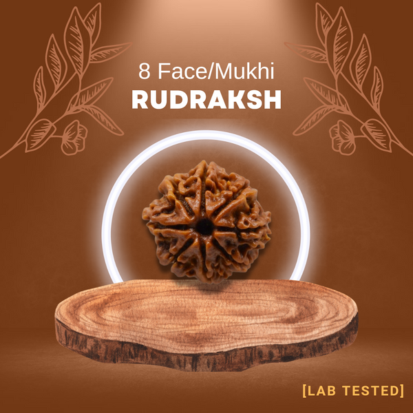 8 मुखी रुद्राक्ष (8 Mukhi Rudraksh)