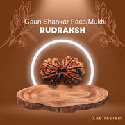 गौरी शंकर रुद्राक्ष (Gauri Shankar Rudraksh)