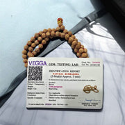 5 मुखी रुद्राक्ष की माला (5 Mukhi Rudraksh Mala Small Bead)