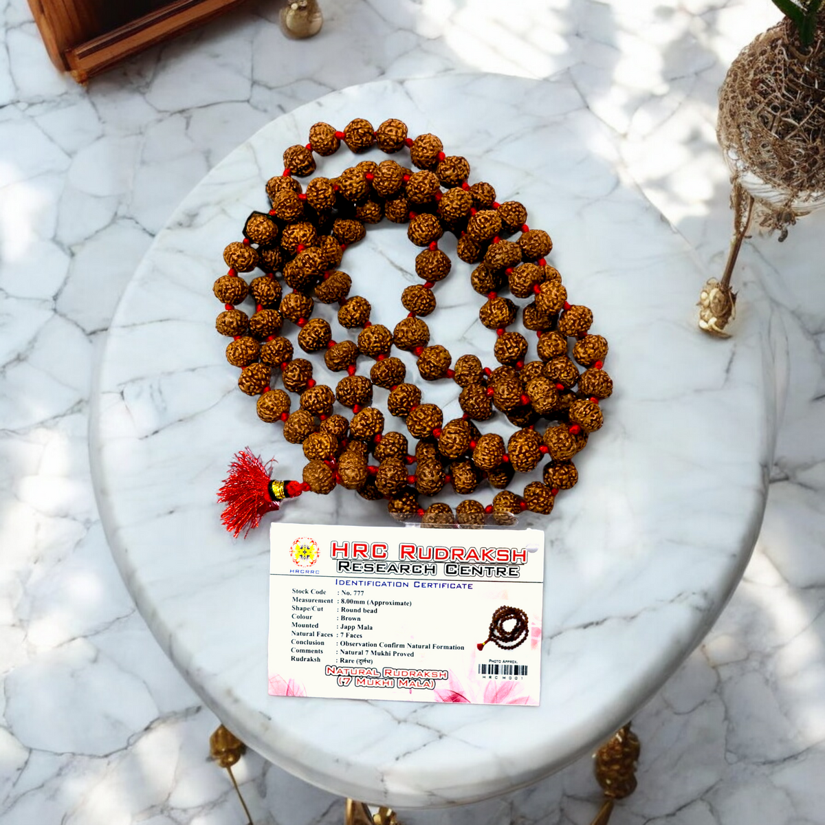7 मुखी रुद्राक्ष की माला (7 Mukhi Rudraksh Mala)