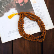 5 मुखी रुद्राक्ष माला (5 Mukhi Rudraksh Mala)