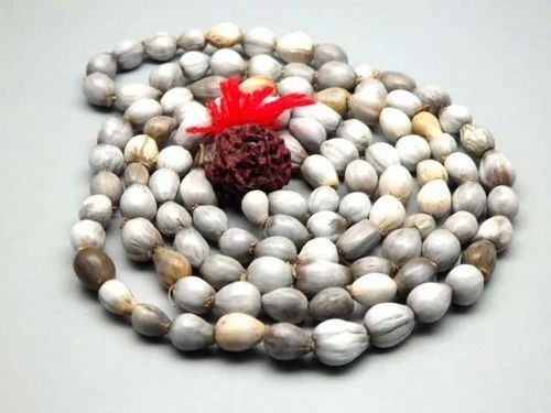 वैजयंती की माला (Vaijyanti Mala)
